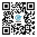 手機網(wǎng)站